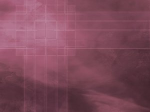 广告算法怎么用？新手必看的完整指南